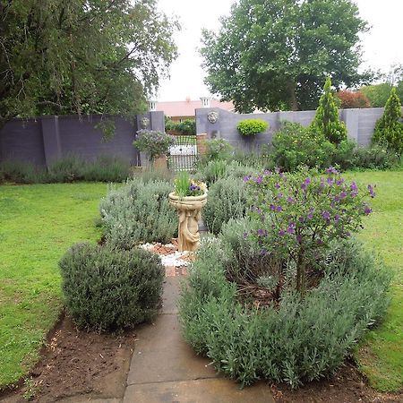 Lilac Lodge-Purple House Уинтертон Экстерьер фото